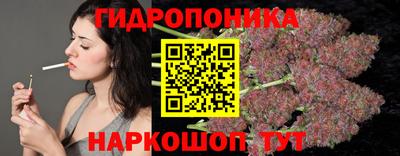 бошки Камышлов