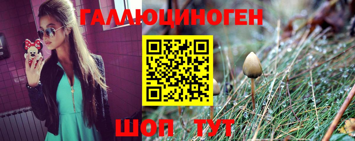 Галлюциногенные грибы Psilocybe  Вход с VPN  как найти наркотики  Магнитогорск  Галлюциногенные грибы ЛСД 